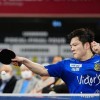 樊振东德甲新赛季首秀定于8月18日，杜塞将举办空前盛大的欢迎仪式